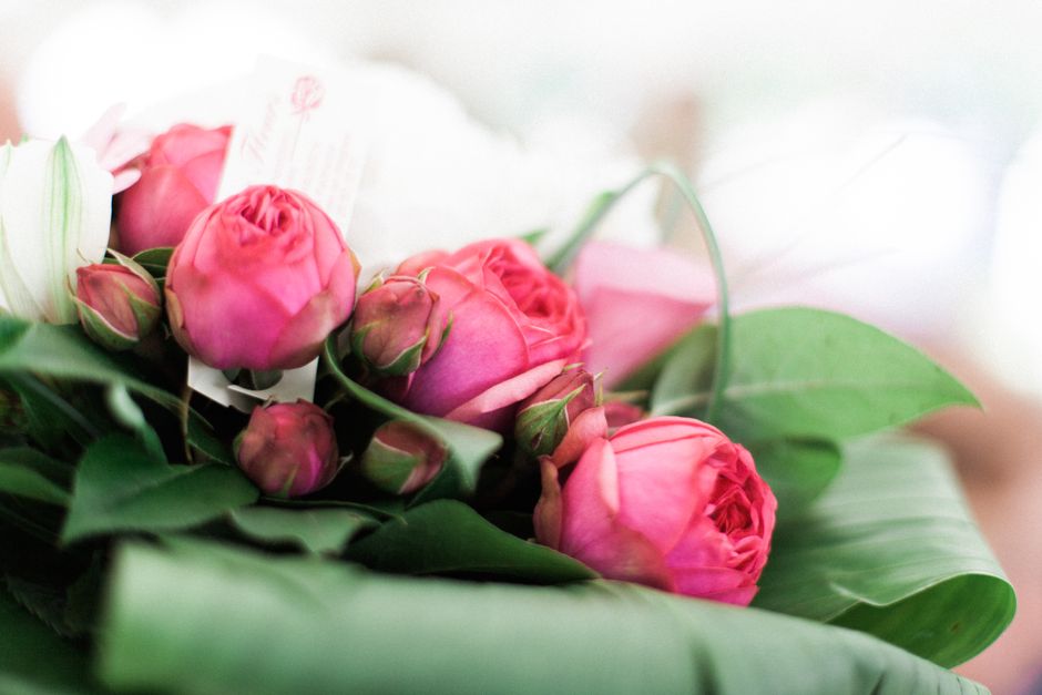 A close-up of a floral arrangement featuring a cluster of pink peonies with tightly packed petals and varying hues from soft blush to vibrant rose, complemented by green leaves with smooth textures. T