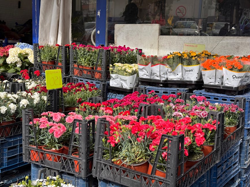 An outdoor display of various potted flowers arranged in black plastic crates, featuring a mix of pink, red, white, yellow, and orange blooms. The flowers include carnations and other seasonal varieti
